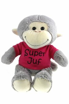 Knuffel super juf